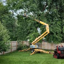 Best Tree Removal  in Geneseo, IL