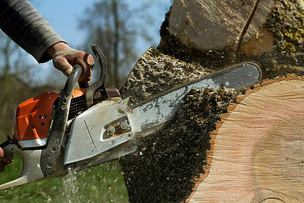 Best Pest Control for Lawns  in Geneseo, IL
